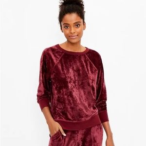 LOFT Lou & Grey Crushed Velour Sweatshirt in Warm Plum Burgundy